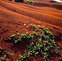 互动影游《神都不良探》限量邀请测试 点击报名